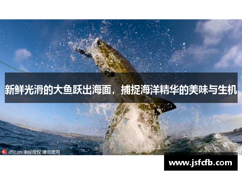 新鲜光滑的大鱼跃出海面，捕捉海洋精华的美味与生机